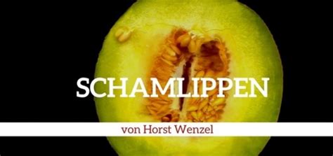 große schamlippen|Schamlippen – Wikipedia.